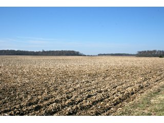 Property photo 13 - LAND AUCTION - 157+/- ACRES OFFERED IN 4 TRACTS IN WHITLEY COUNTY, INDIANA